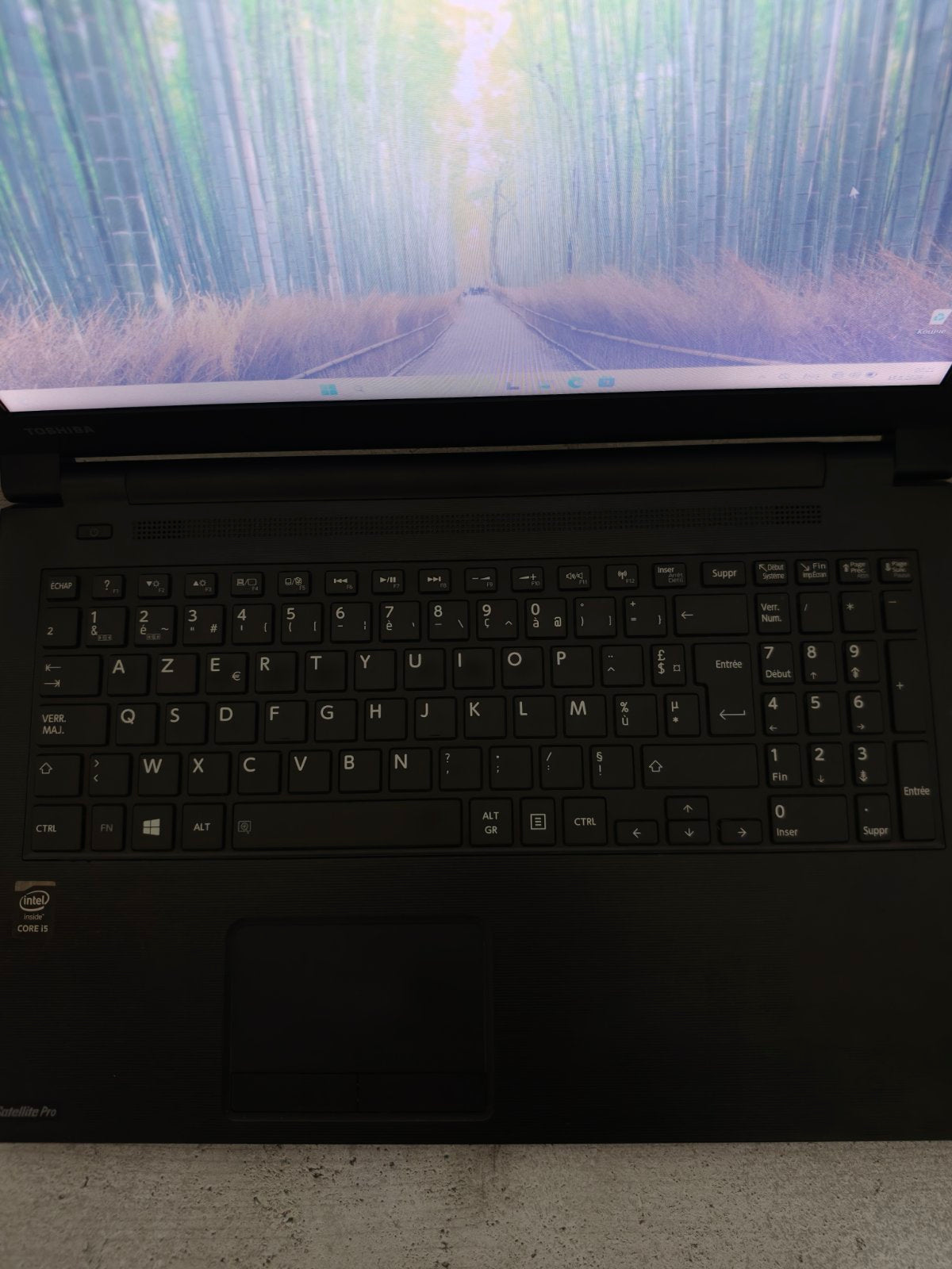 Toshiba satellite pro